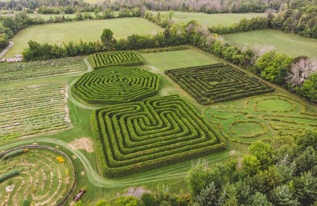 Cannamore Orchard | 1480 County Rd 32, Crysler, ON K0A 1R0, Canada | Phone: (613) 448-3633