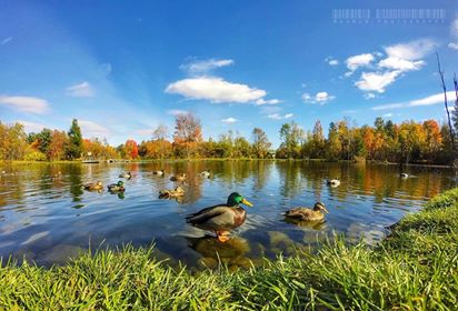 Parc régional de la Rivière-du-Nord (stationnement Prévost) | Chemin du Plein Air, Prévost, QC J5L 2S2, Canada | Phone: (450) 431-1676