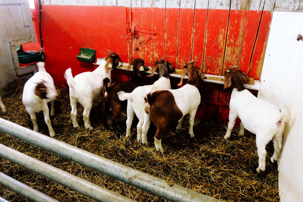 Ferme Du Sillon & Boutique Le Sillon des Saveurs | 151 Rang St Stanislas E, Saint-Alexandre-de-Kamouraska, QC G0L 2G0, Canada | Phone: (418) 495-5331