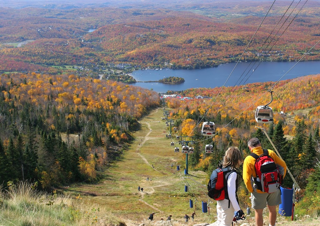 Le DEN de Tremblant | 118 Chem. du Châteaubois, Mont-Tremblant, QC J8E 1P4, Canada | Phone: (514) 824-8680