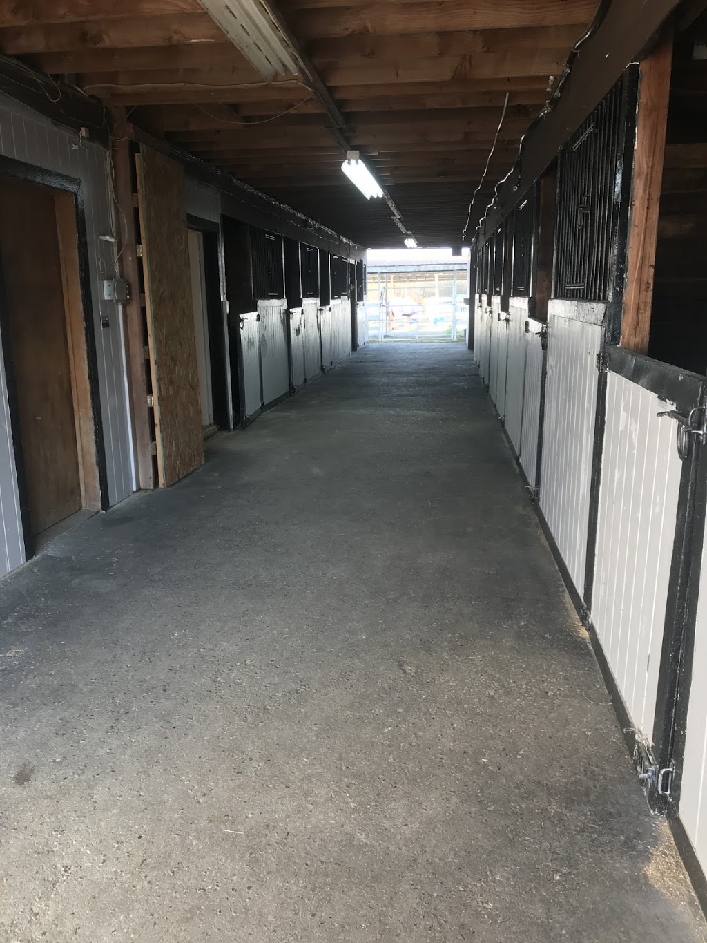 Westcott Equestrian | 1484 216 St, Langley Twp, BC V2Z 1R2, Canada | Phone: (778) 999-3266