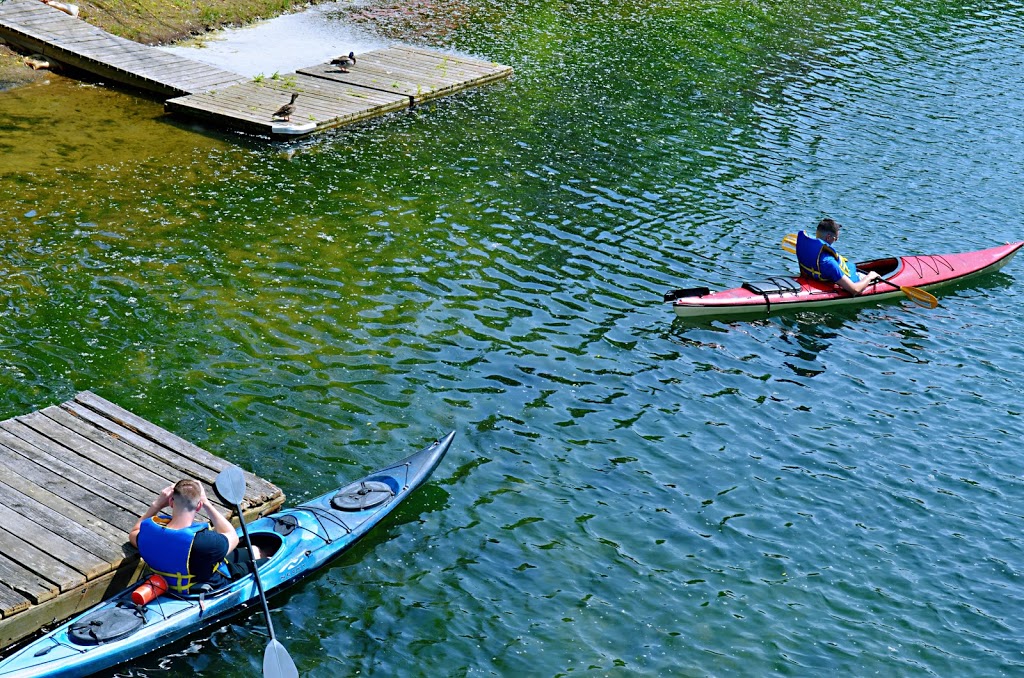 Algonquin Island Park | Algonquin Island Park, Toronto, ON M5J 2M9, Canada | Phone: (416) 338-4386