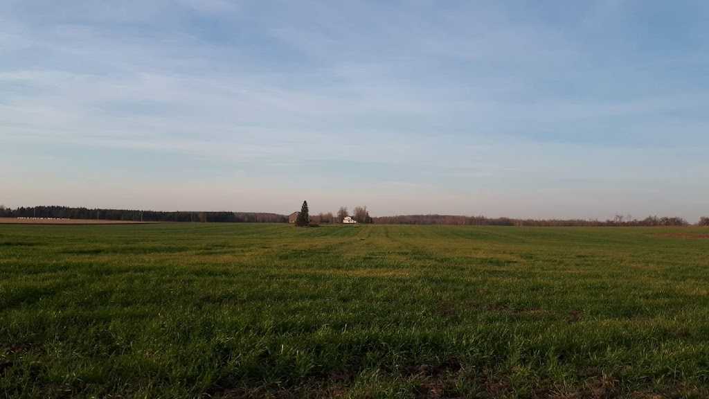 Meadow Song Acres | 8205 Line, 6, Kenilworth, ON N0G 2E0, Canada | Phone: (519) 998-8590