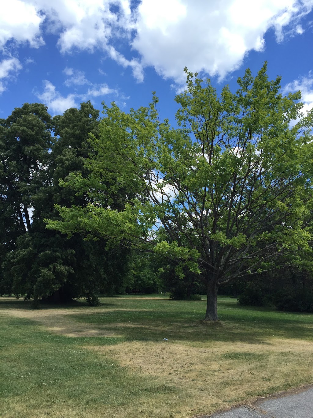 Toronto Islands - Hanlans Point Park | 464-, 470 Lakeshore Ave, Toronto, ON M5V, Canada