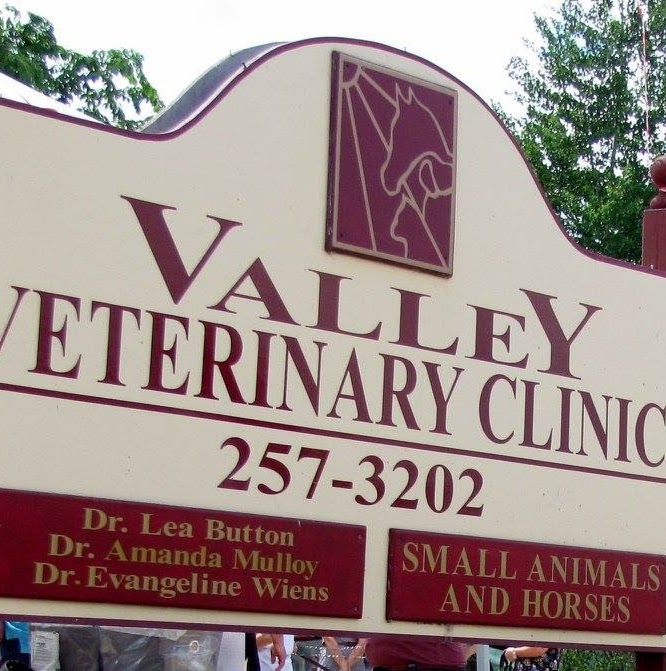 Valley Veterinary Clinic | 339 Townline Road East, Carleton Place, ON K7C 3S2, Canada | Phone: (613) 257-3202