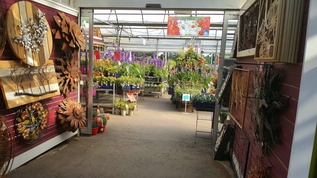 Plant World | 4000 Eglinton Ave W, Etobicoke, ON M9A 4M2, Canada | Phone: (416) 241-9174