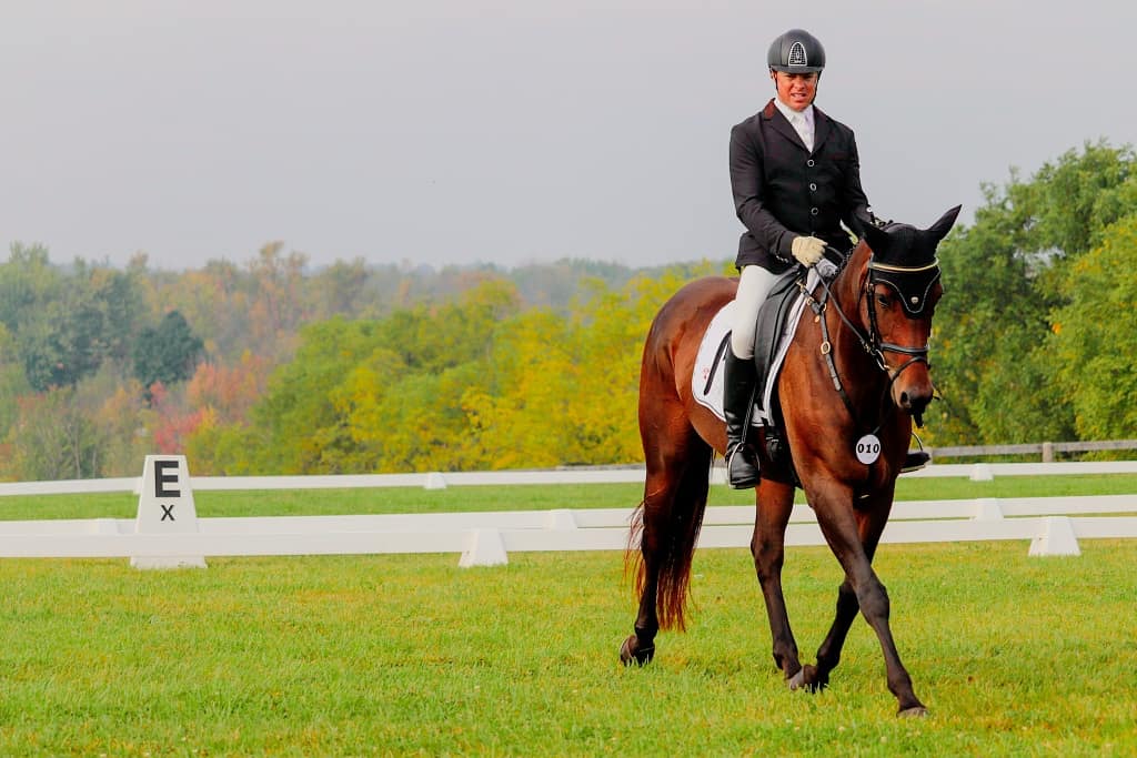 Bronte Creek Equestrian Centre | 1694 Centre Rd, Hamilton, ON L8N 2Z7, Canada | Phone: (905) 379-3855