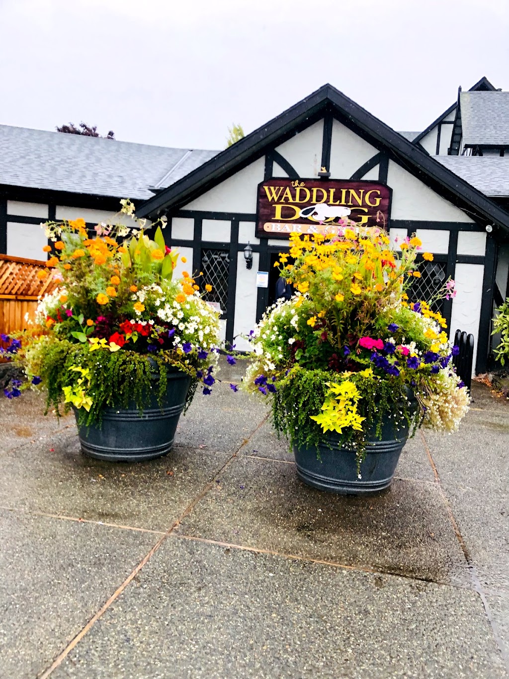 Waddling Dog Pub | 2476 Mt Newton Cross Rd, Saanichton, BC V8M 2B8, Canada | Phone: (250) 652-1146