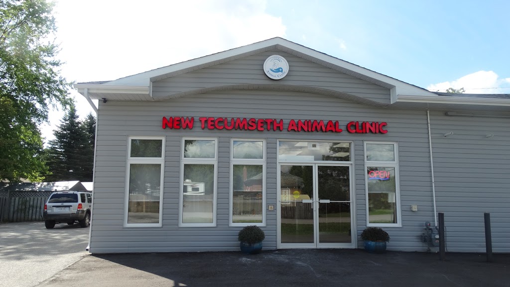 New Tecumseth Animal Clinic | 33 Tottenham Rd, Alliston, ON L9R 1J9, Canada | Phone: (705) 250-7500