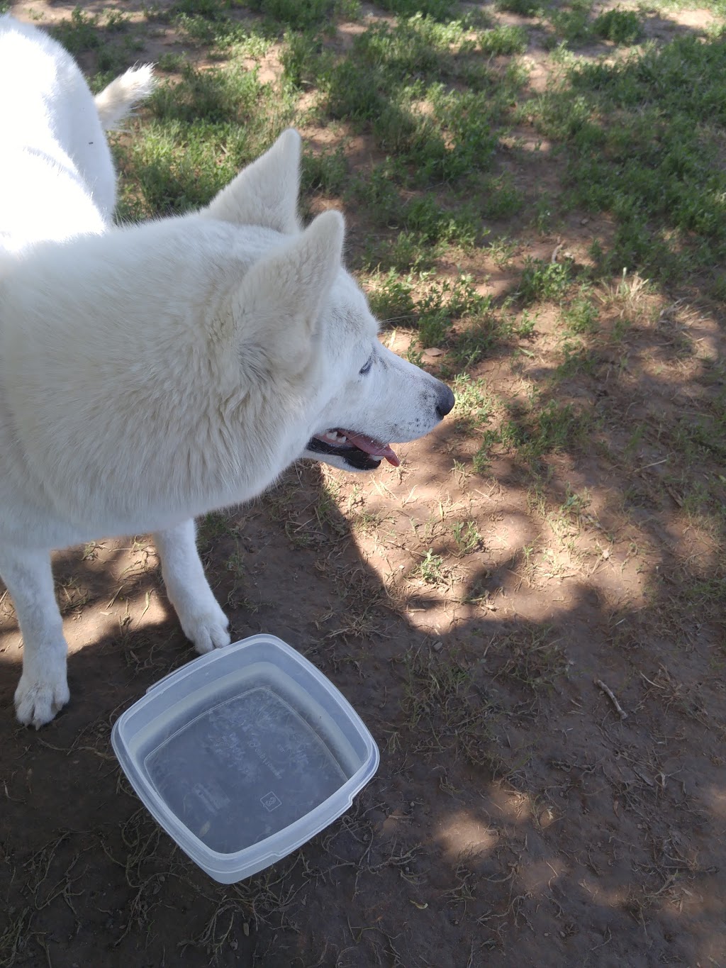 Steve McDonnell Leash Free Dog Park | 170 Lake St, Grimsby, ON L3M 5T3, Canada | Phone: (905) 945-1288