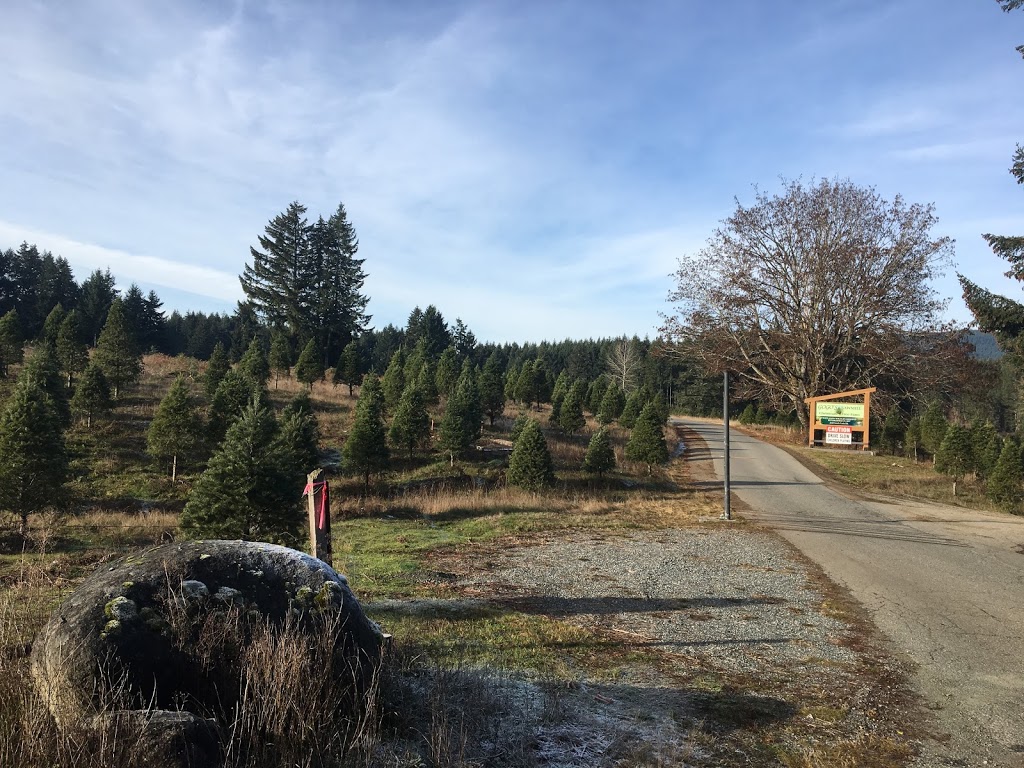 Gogos Christmas Tree Farm | 2625 S Forks Rd, Nanaimo, BC V9X 1H3, Canada | Phone: (250) 754-2276