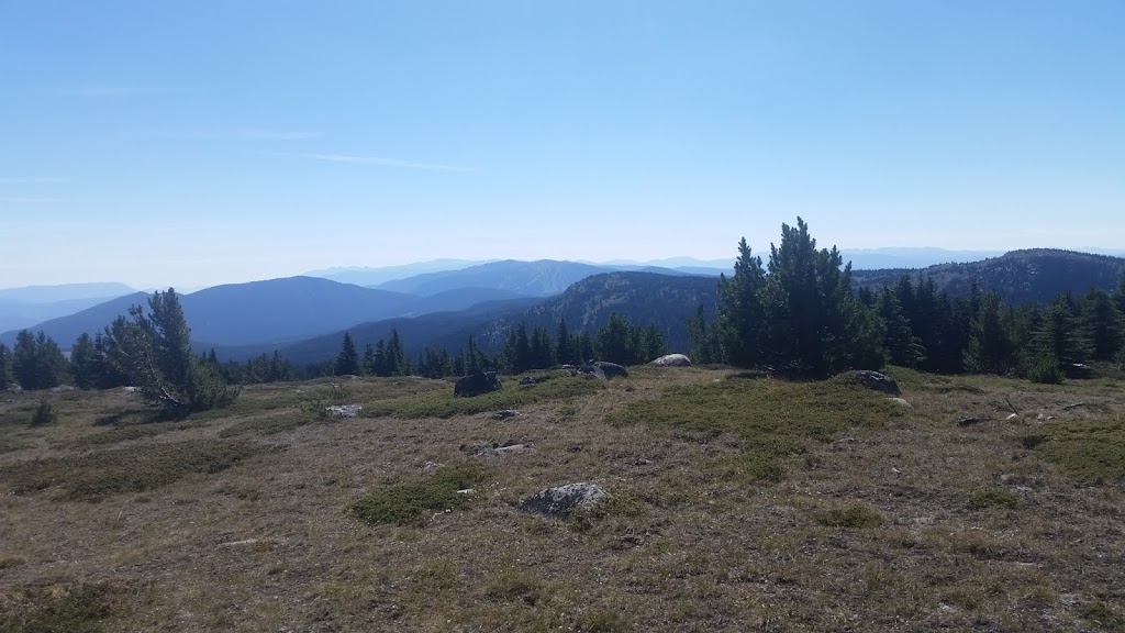 Brent Mountain Protected Area | Apex Mountain Rd, Hedley, BC V0X 1K0, Canada | Phone: (800) 689-9025