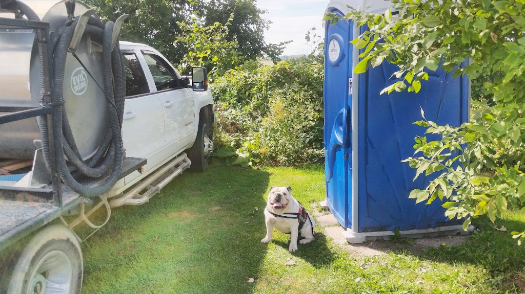 Bulldog Sanitation | 66 Hogarth St, Oshawa, ON L1H 1Y6, Canada | Phone: (289) 830-2765