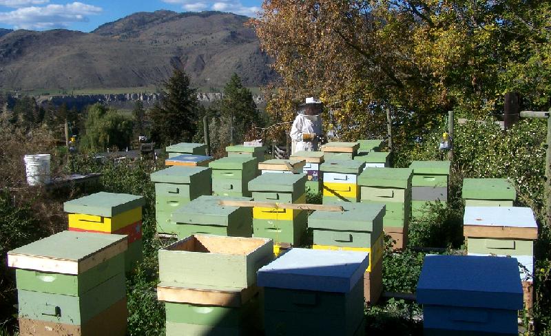 Turning Point Ranch & Apiary | 1709 Martin Prairie Rd, Pritchard, BC V0E 2P0, Canada | Phone: (250) 577-3526