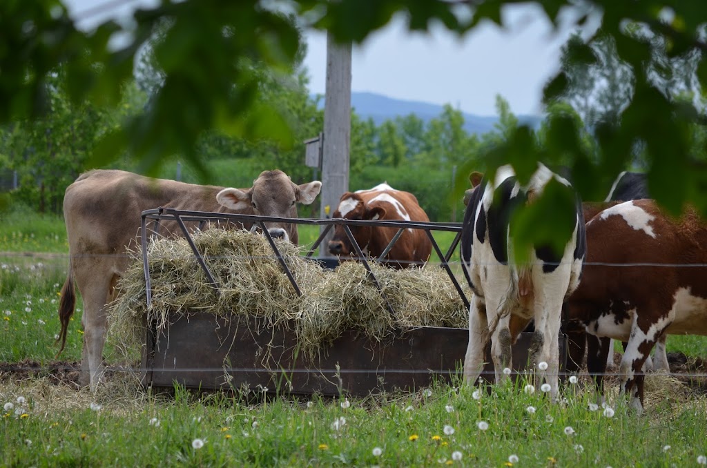 Ferme-école LAPOKITA | 201 QC-230, La Pocatière, QC G0R 1Z0, Canada | Phone: (418) 856-1110