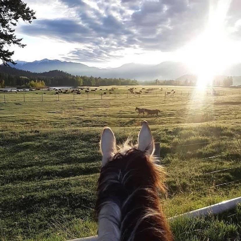 Spur Valley Adventures | Spur Valley Adventures by the St. Eugene Resort, Cranbrook, BC V1C 7E5, Canada | Phone: (250) 421-9669