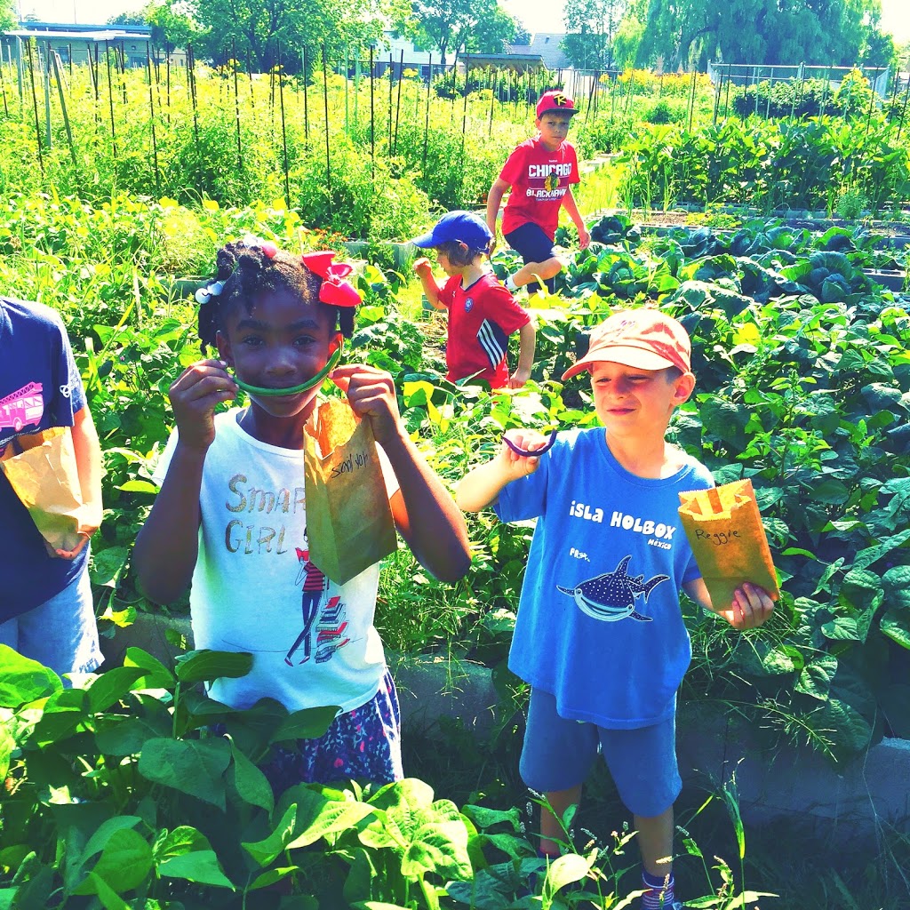 McQuesten Urban Farm | 785 Britannia Ave, Hamilton, ON L8H 6P7, Canada