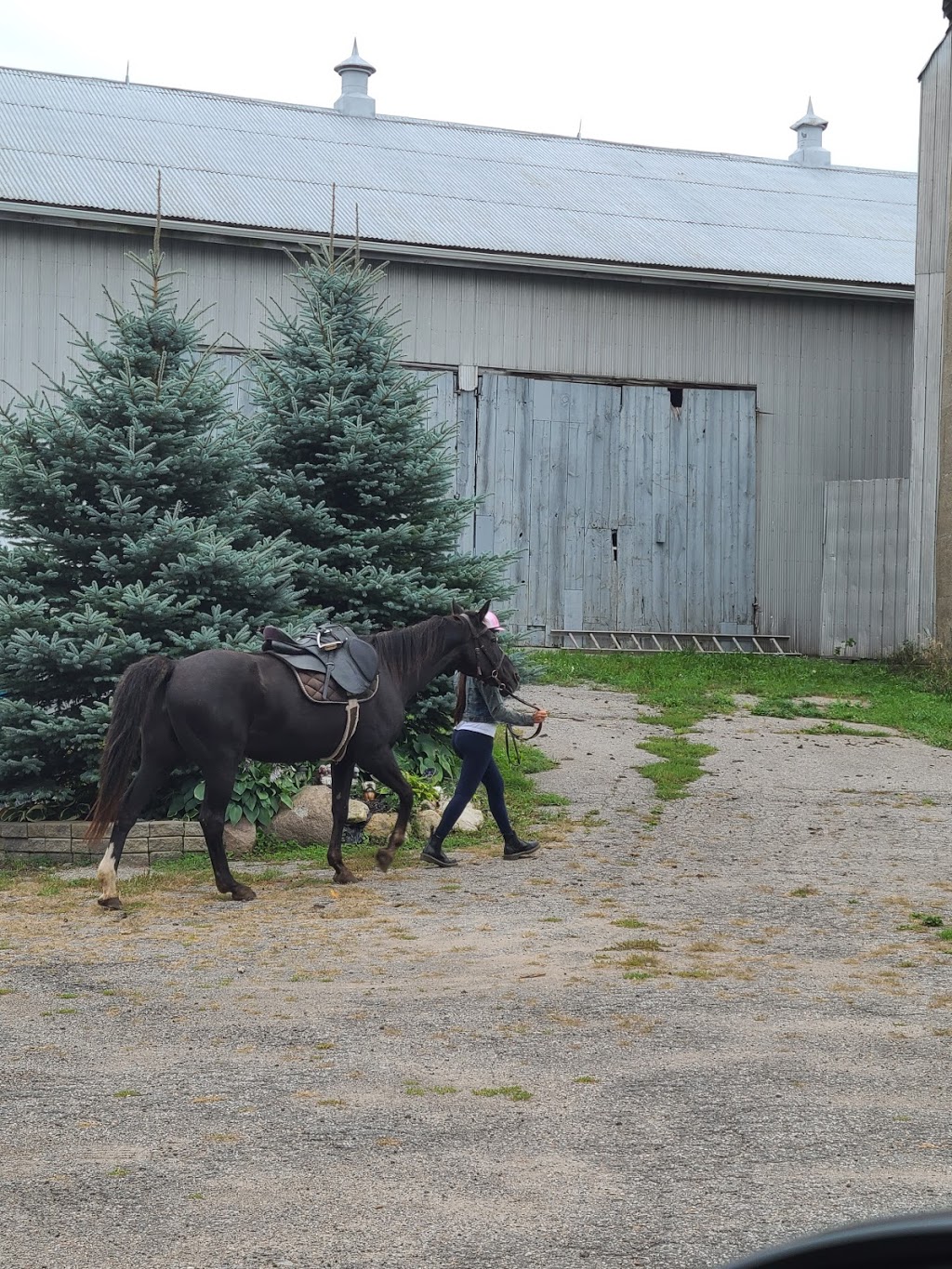 Heartland Equestrian | 9570 Duffs Rd, Ashburn, ON L0B 1A0, Canada | Phone: (905) 655-8968