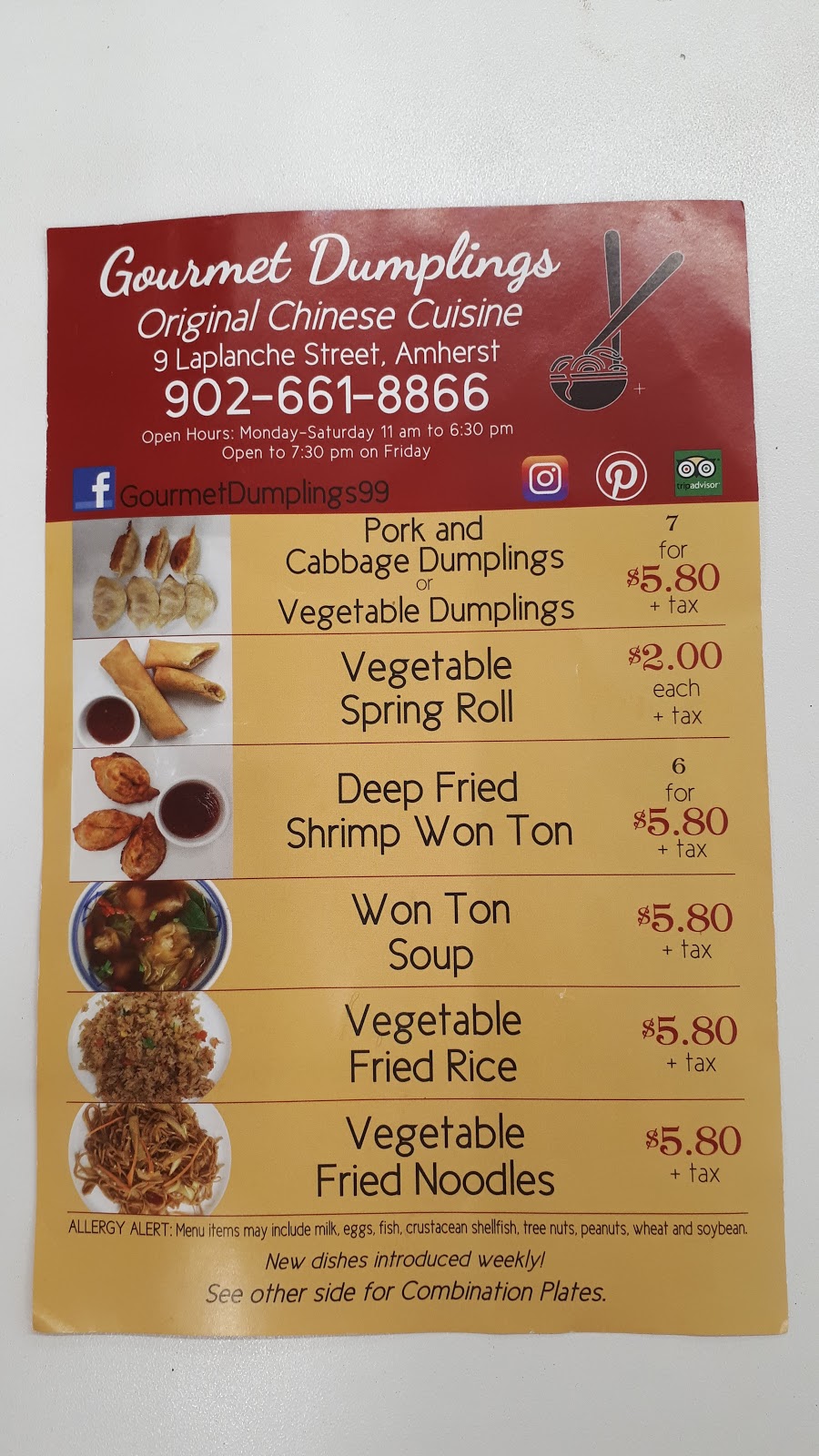 Gourmet Dumplings | 9 Laplanche St, Amherst, NS B4H 3G7, Canada | Phone: (902) 661-8866