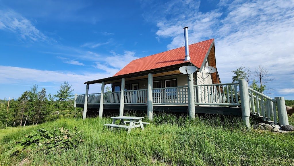 Meadow Lake Guest Ranch | Meadow Lake Rd, Clinton, BC V0K 1K0, Canada | Phone: (833) 238-1200