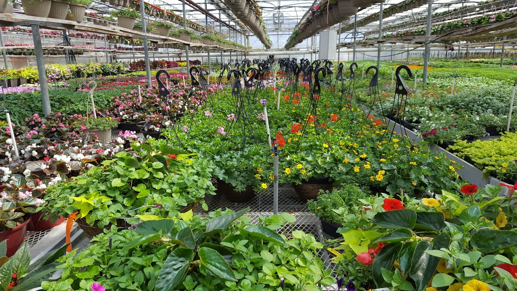 Mocon Greenhouses | 1879 Queen St W, Brampton, ON L6Y 0B6, Canada | Phone: (905) 450-7474