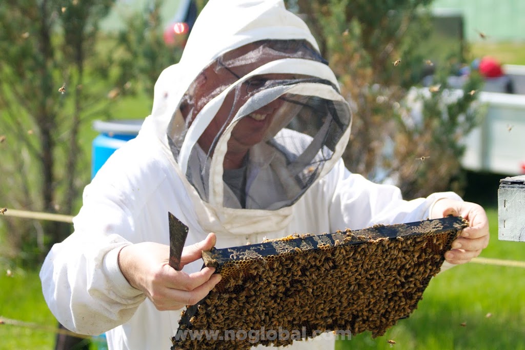 Nod Apiary Products Ltd | 2325 Frankford Rd, Frankford, ON K0K 2C0, Canada | Phone: (613) 398-8422