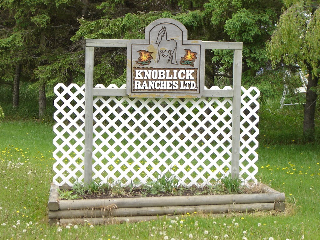 Knoblick Ranches | Township Rd 424, Camrose County, AB T0B, Canada | Phone: (780) 372-2142