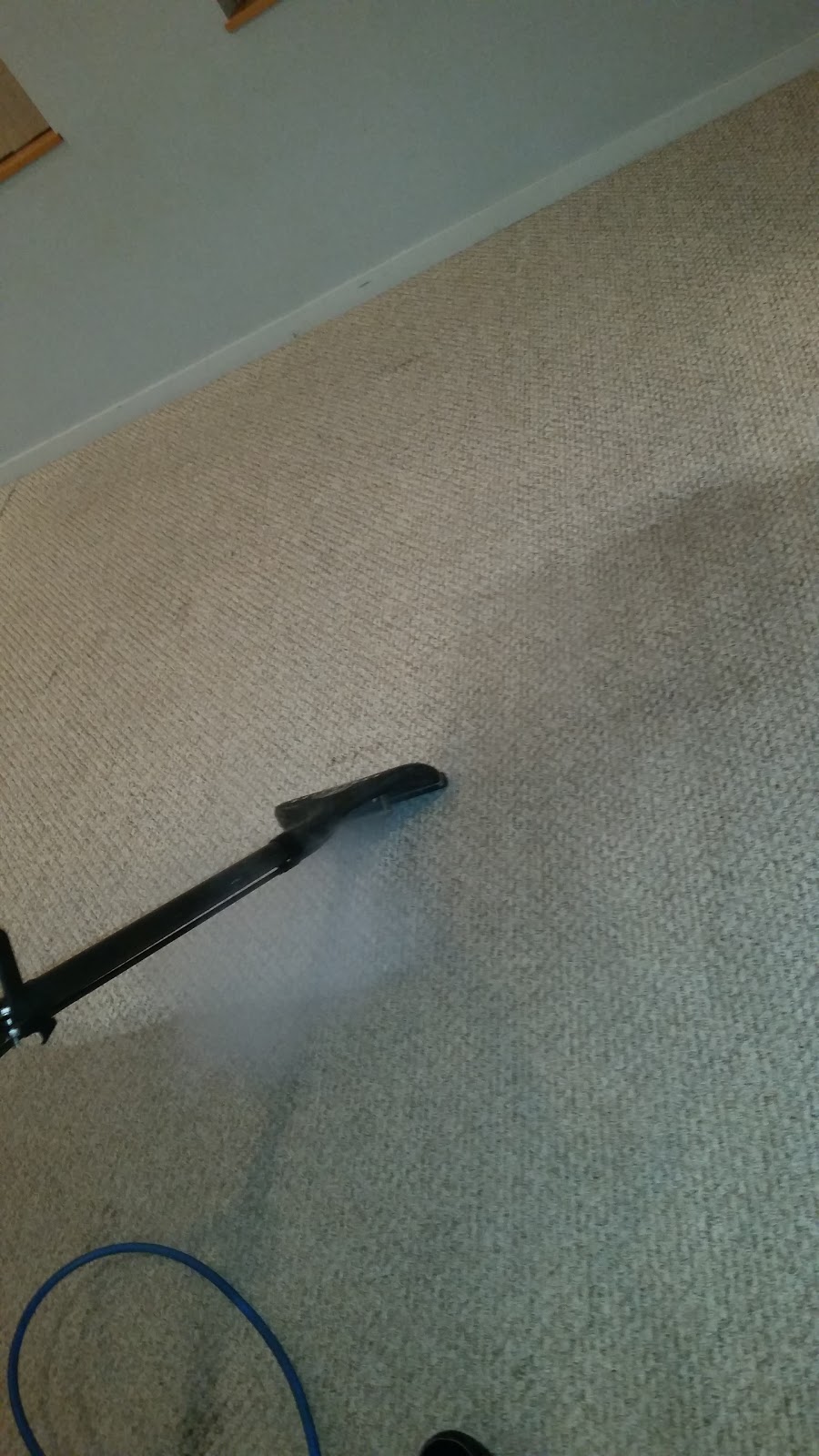 Lower Mainland Carpet Cleaning | 31483 Legacy Ct, Abbotsford, BC V2T 6W5, Canada | Phone: (604) 857-2727