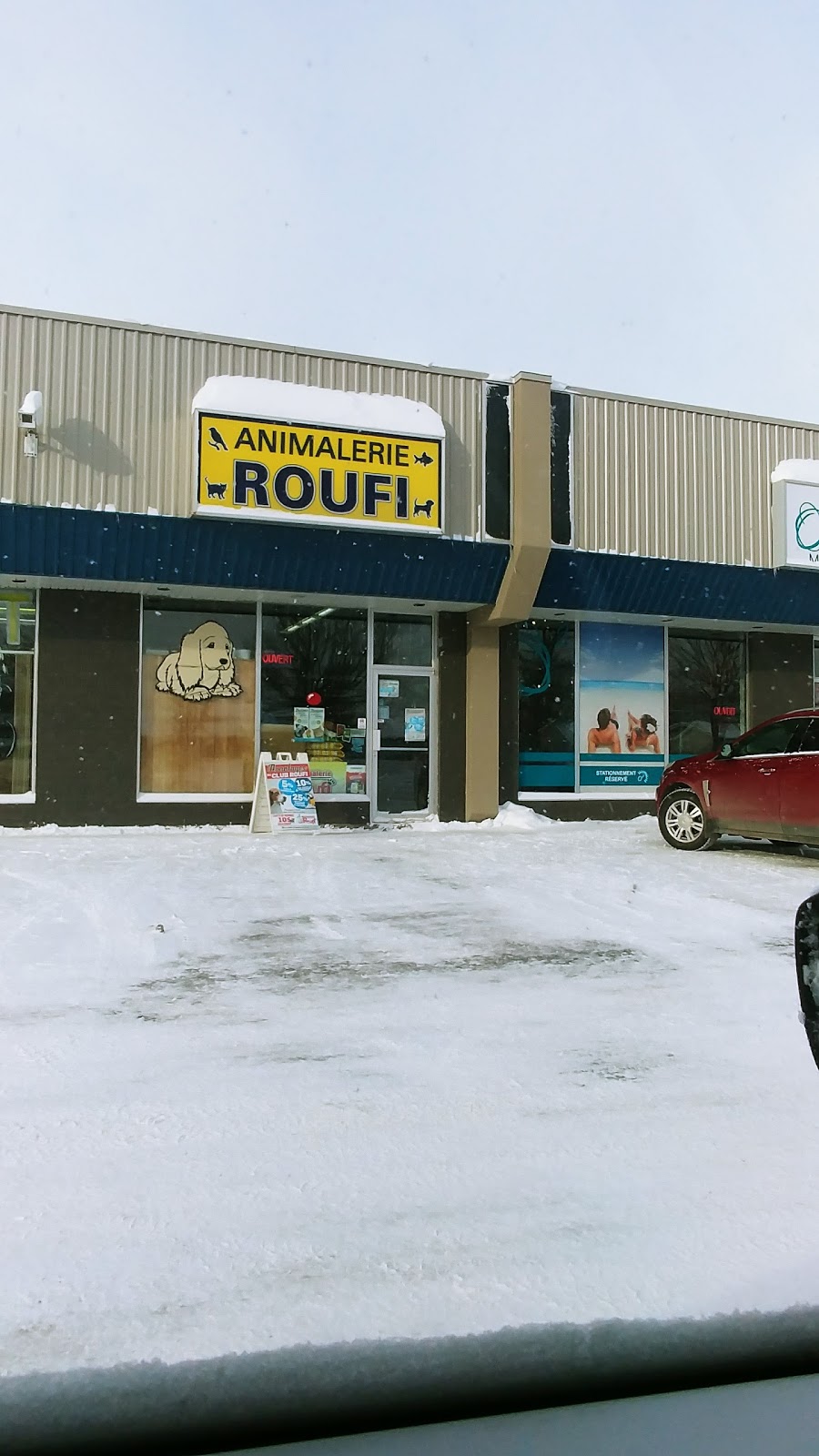 Animalerie Roufi | 600 Bd Jutras E, Victoriaville, QC G6S 1C9, Canada | Phone: (819) 758-4435