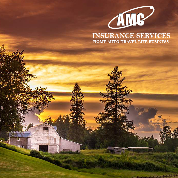 AMC Insurance | 20728 Willoughby Town Centre Dr Suite 160, Langley Twp, BC V2Y 0P3, Canada | Phone: (604) 227-1069