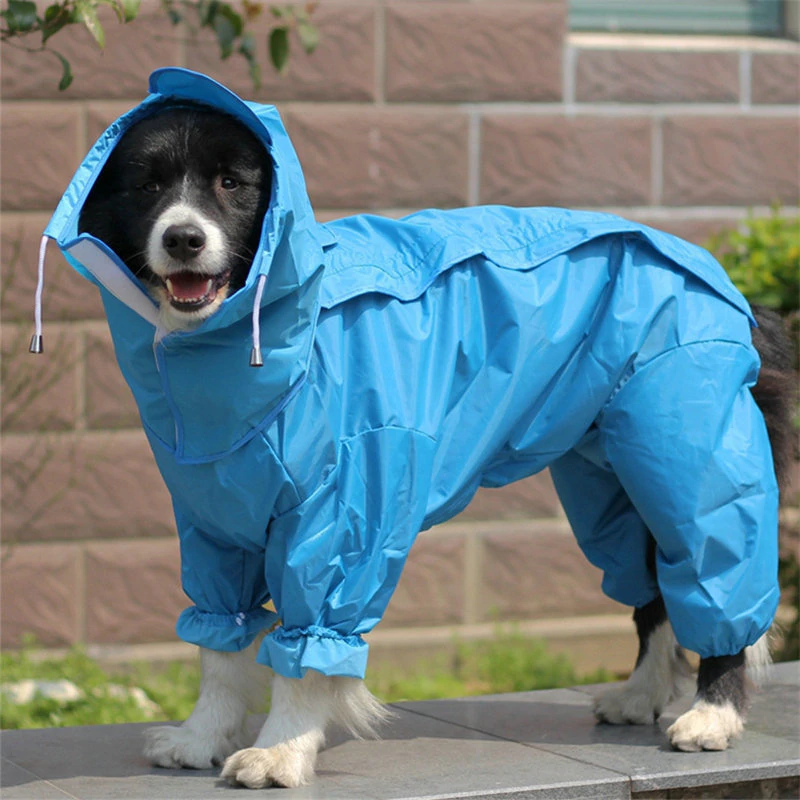 Doggy Clothing | Habgood St, White Rock, BC V4B 4W3, Canada | Phone: (778) 868-8654