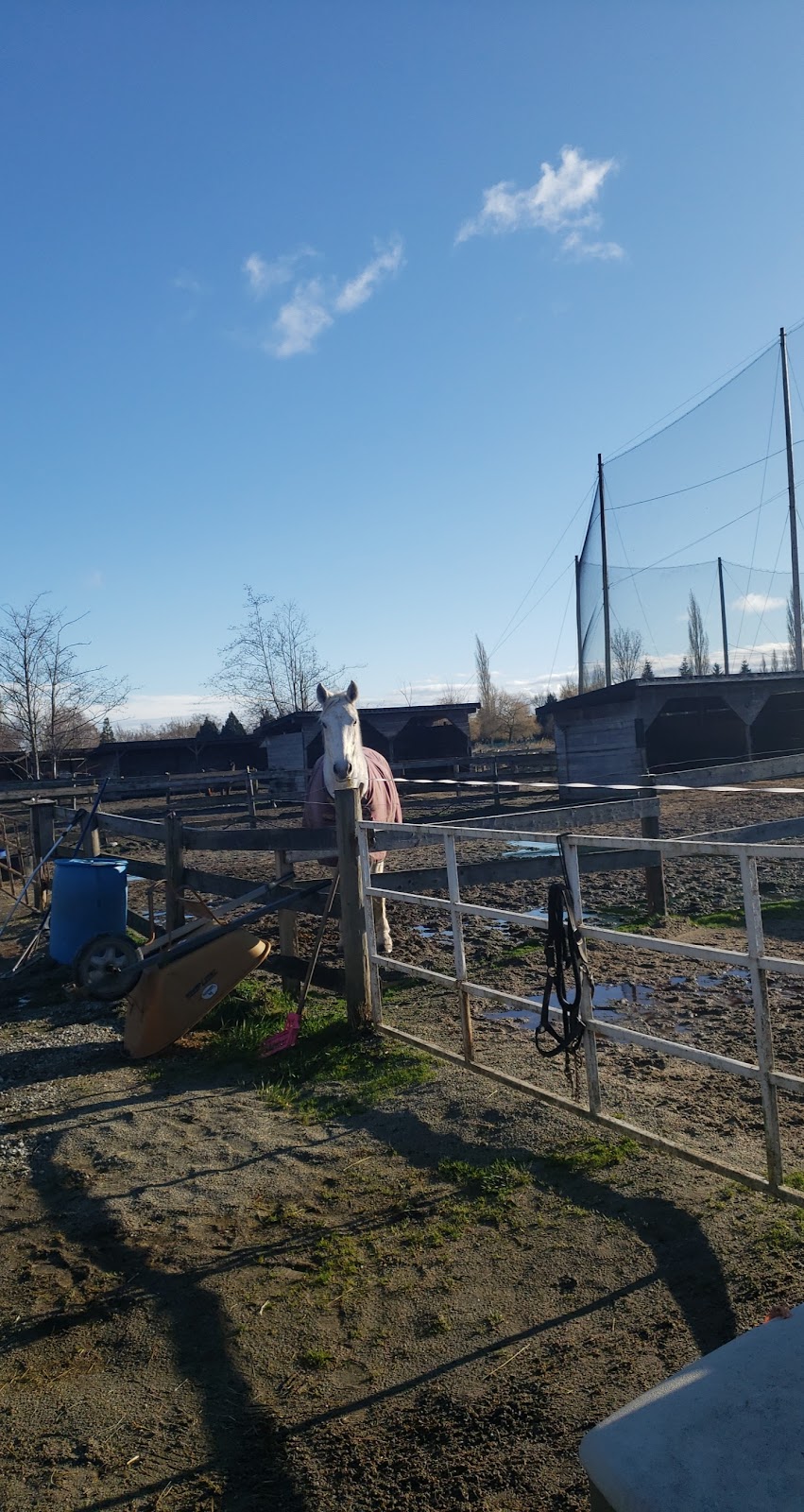 Ridgeview stables and Hauling | 11860 Ladner Trunk Rd, Delta, BC V4E 1A6, Canada | Phone: (778) 837-3038