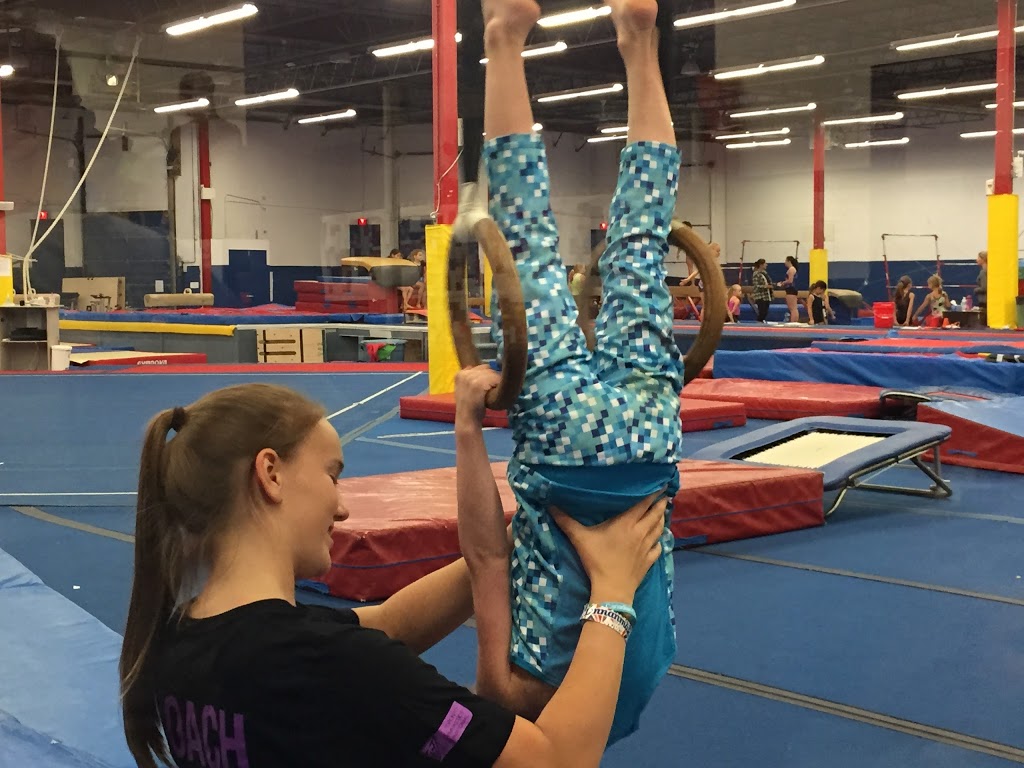 Toronto Gymnastics International | 77 Browns Line Road Units B&C, Etobicoke, ON M8W 3S2, Canada | Phone: (416) 253-1443