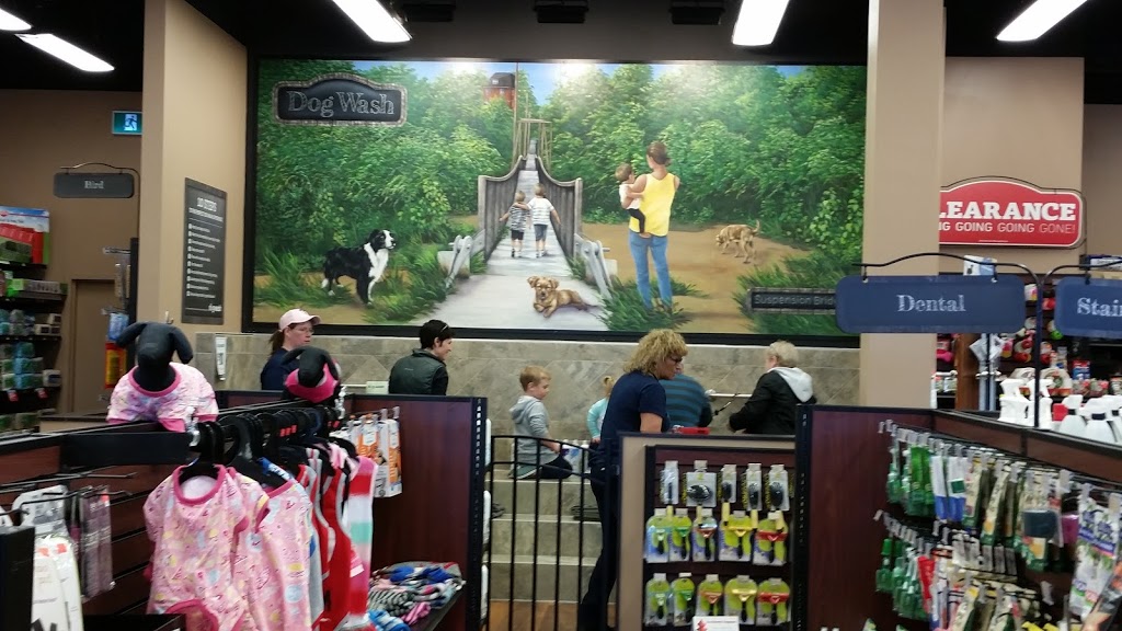 Pet Valu | 640 OBrien Rd, Renfrew, ON K7V 0B4, Canada | Phone: (613) 432-1569