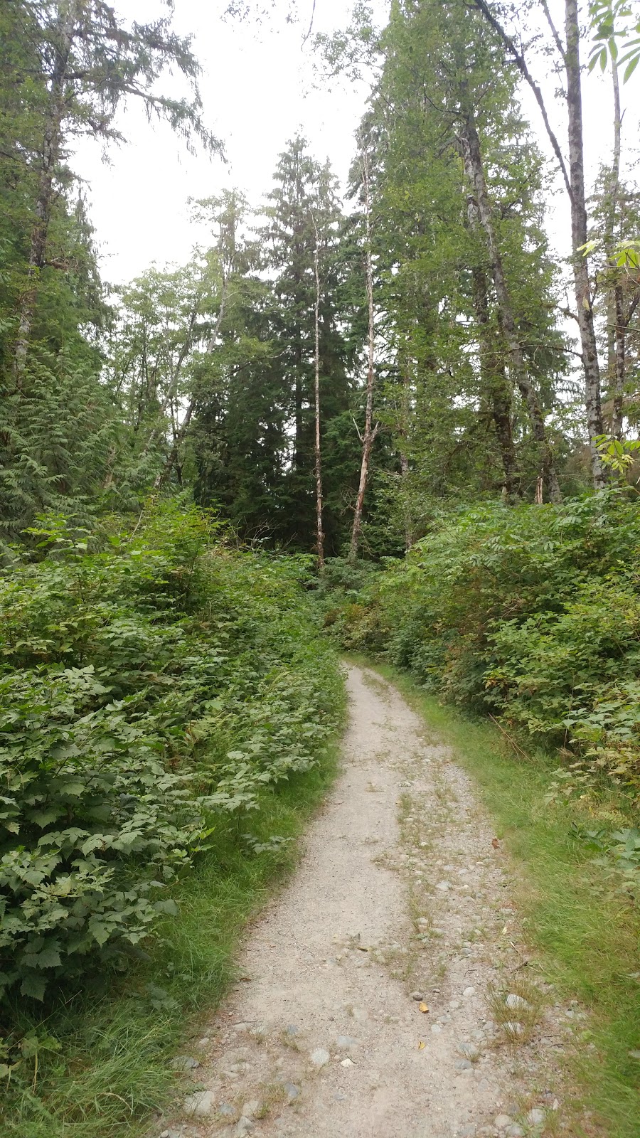 Seymour Valley Trail | Seymour Valley Trailway, North Vancouver, BC V7K 3B2, Canada