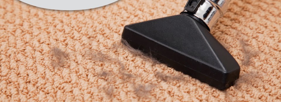 Sunshine Carpet Care | 14989 Southmere Pl, Surrey, BC V4A 6P8, Canada | Phone: (604) 786-2758