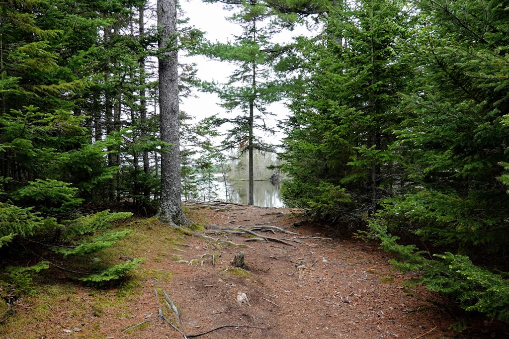 MacElmons Pond Provincial Park | 219 MacElmon Rd, Debert, NS B0M 1G0, Canada | Phone: (866) 230-1586