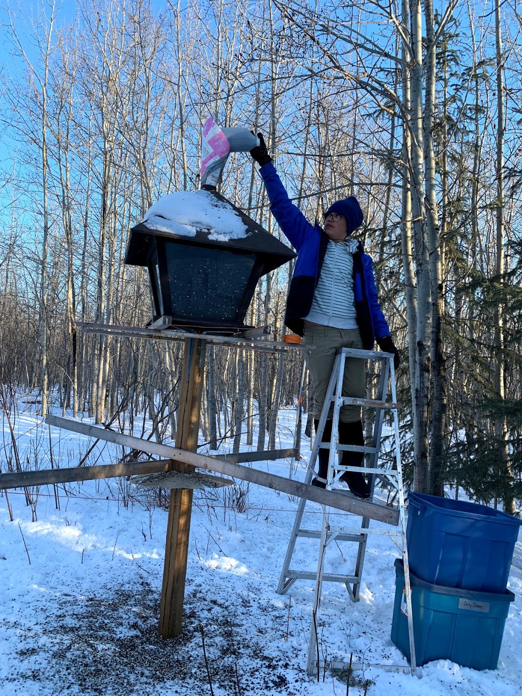 Beaverhill Bird Observatory | Township Rd 510, Tofield, AB T0B 4J0, Canada | Phone: (587) 783-9188