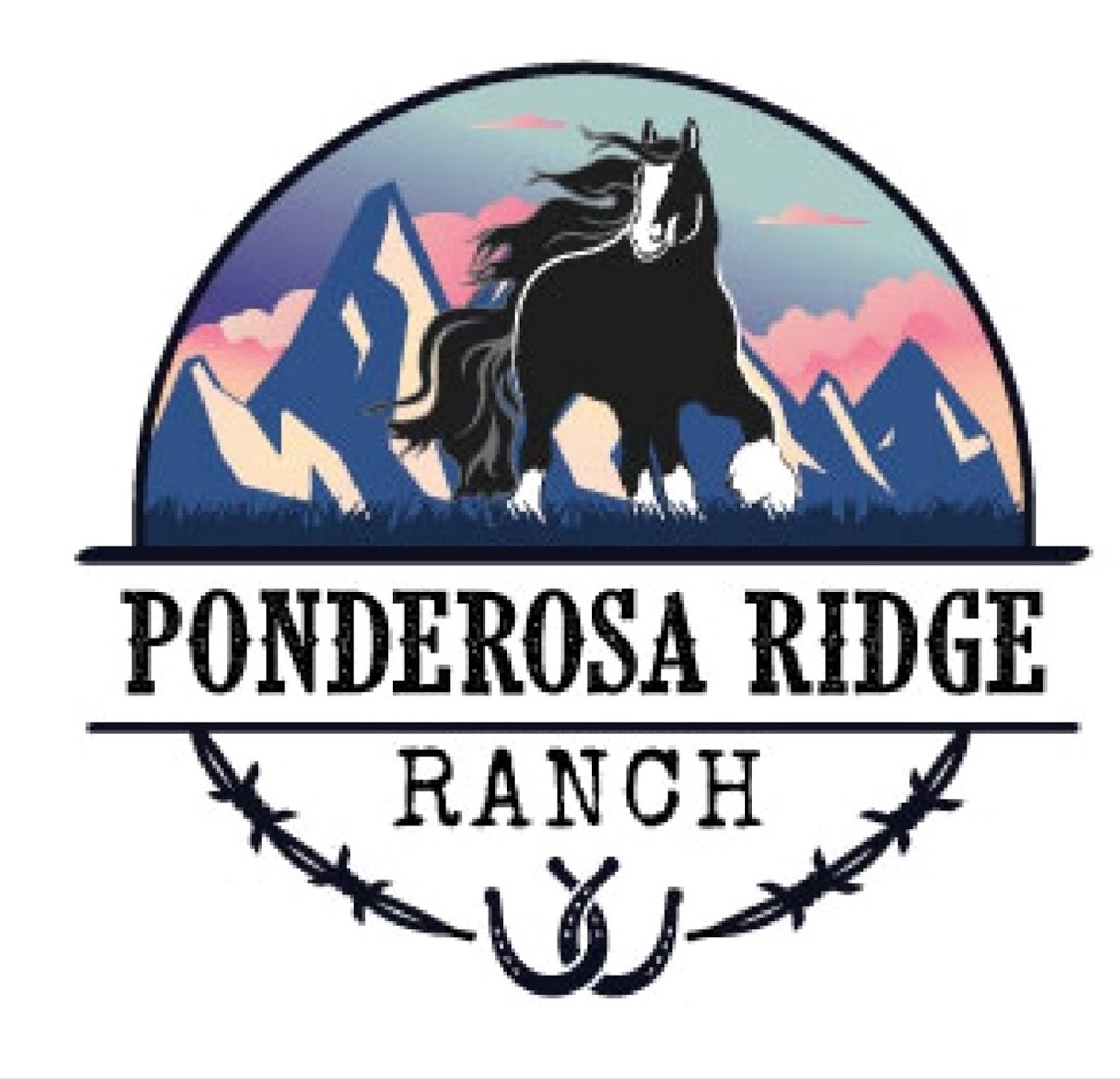 Ponderosa Ridge Ranch | 1029 BC-5A, Princeton, BC V0X 1W0, Canada | Phone: (250) 438-1066