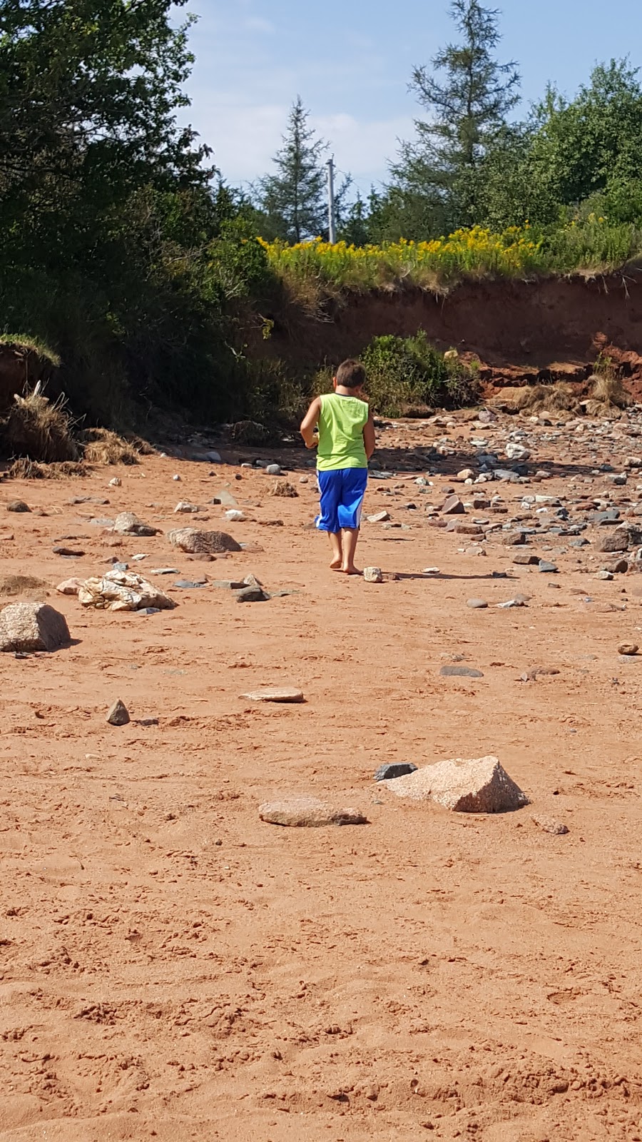 Beautiful Views At Low Tide | 38 Lighthouse Ln, Maitland, NS B0N 1T0, Canada