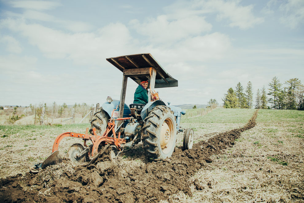 Ferme Thuya | 36 Chem. Kelly, Low, QC J0X 2C0, Canada | Phone: (613) 402-0376