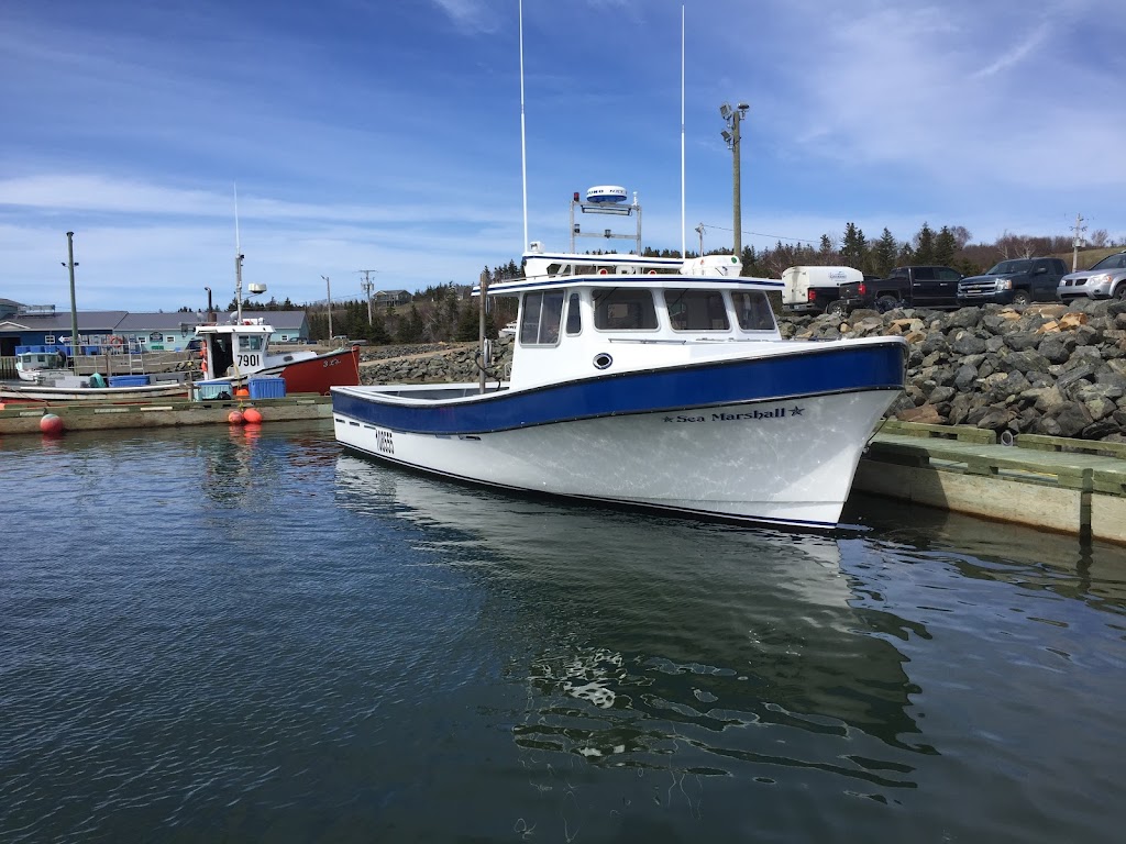 Colindale Marine Services | 335 Little Mabou Rd, Port Hood, NS B0E 2W0, Canada | Phone: (902) 631-4447