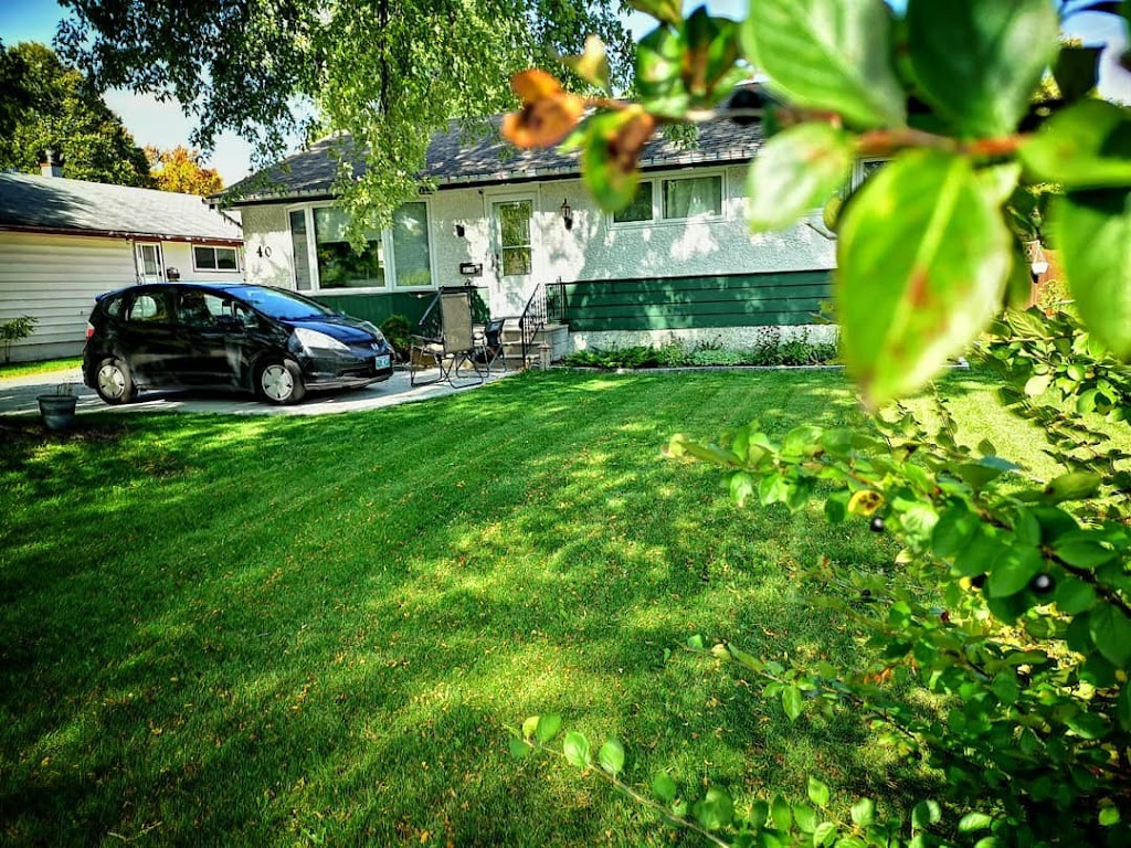 Moweco Electric Lawn Mowing Service | 260 Marion St, Winnipeg, MB R2H 0T7, Canada | Phone: (204) 669-3261