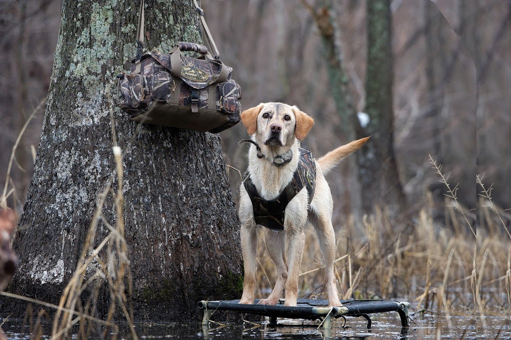 Canadian Waterfowl Supplies | 81 Oakland Rd, Scotland, ON N0E 1R0, Canada | Phone: (855) 434-3825