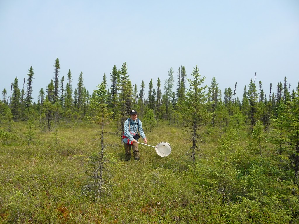 BioÉco Environnement | 264 Rang Saint-Jean-Baptiste, Saint-Chrysostome, QC J0S 1R0, Canada | Phone: (438) 821-5572