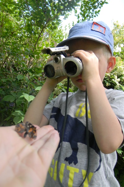 Mountainview Modified Montessori Preschool | 1375 Loseth Dr, Kelowna, BC V1P 1M8, Canada | Phone: (250) 765-7791