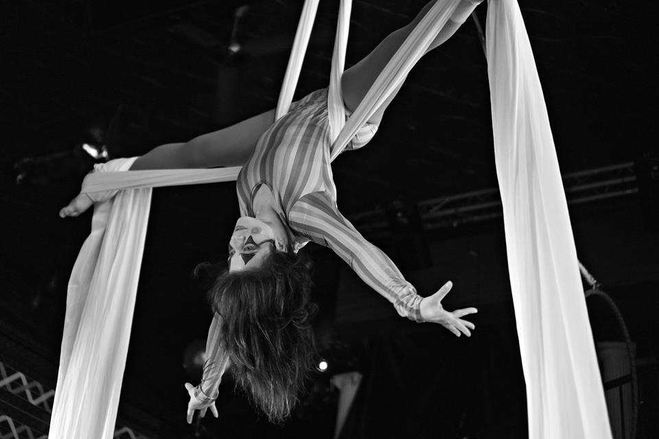 Cherry Blossom Aerial Dance Studio | 427 St Laurent Blvd, Ottawa, ON K1K 2Z9, Canada | Phone: (613) 741-4200