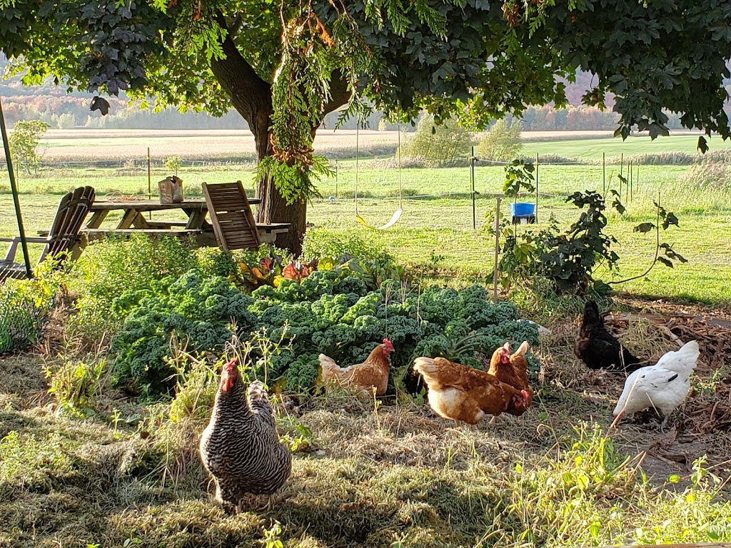 Ferme des Canailles | 1420 Rang de la Rivière N, Saint-Jean-Baptiste, QC J0L 2B0, Canada | Phone: (514) 581-4565