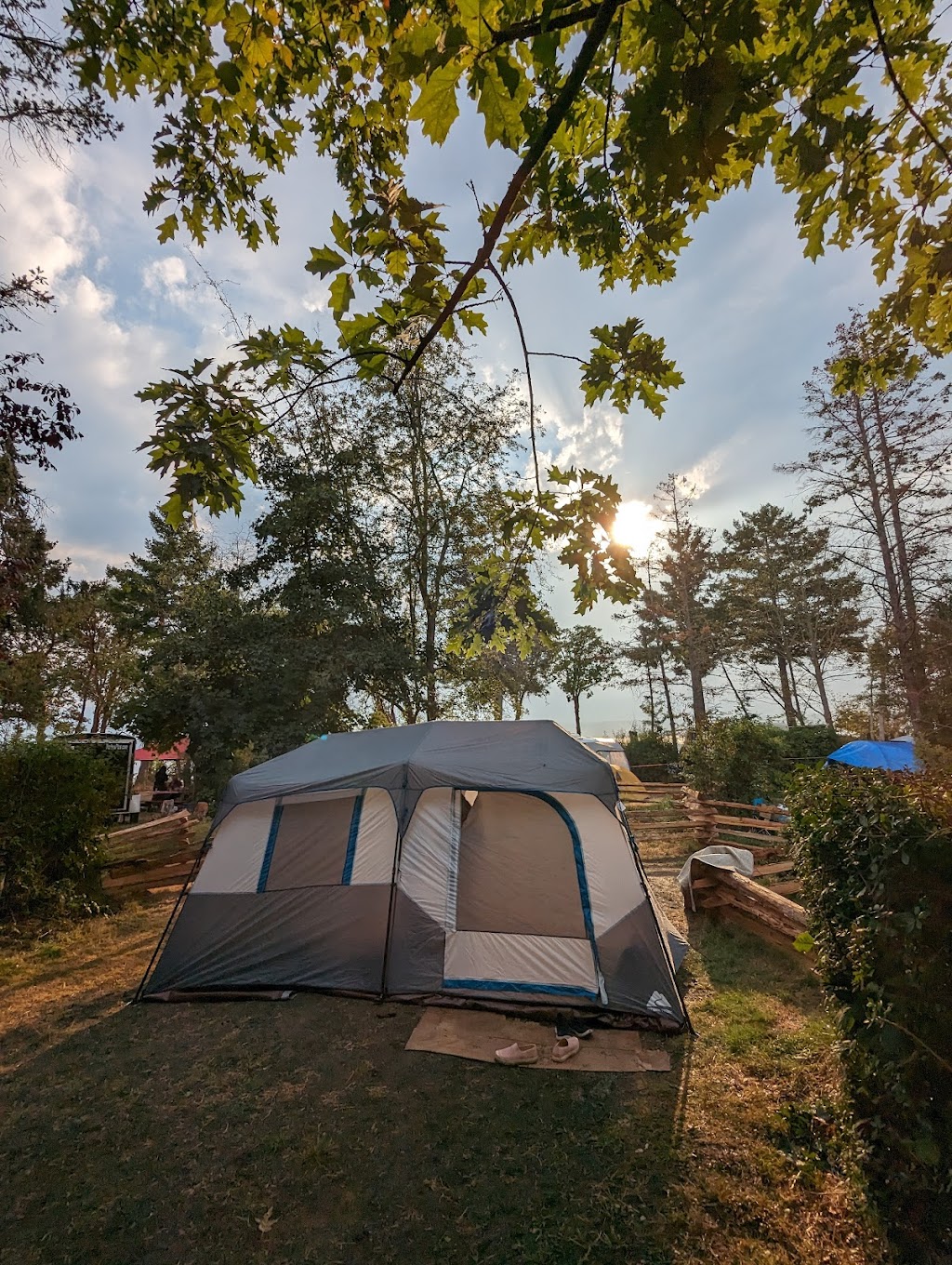 Bradsdadsland Campsite | 2105 Shingle Spit Rd, Hornby Island, BC V0R 1Z0, Canada | Phone: (250) 335-0757