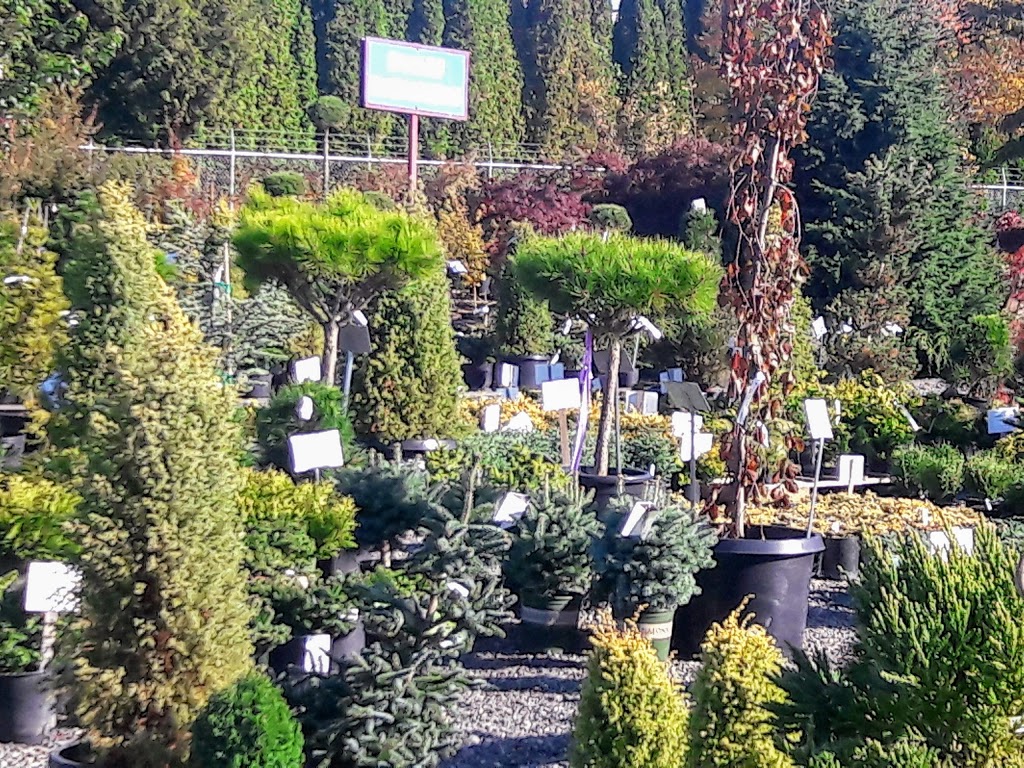 Kents Garden & Nursery | 5428 Northwest Dr, Bellingham, WA 98226, USA | Phone: (360) 384-4433